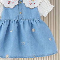 Girls Light Blue Embroidered Fit & Flare Dress Casual Dresses