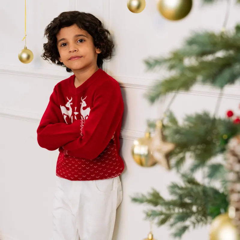 Girls Cute Christmas Reindeer Jacquard knit Sweater Sweaters & Cardigans