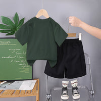 Boys Dinosaur Printed Green T-Shirt With Shorts Set 2 pc. Sets
