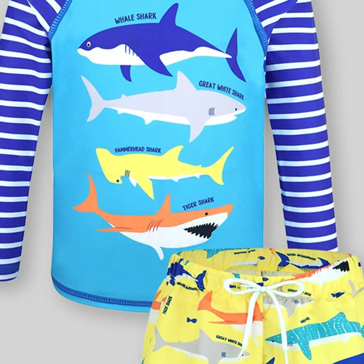 Boys Light Blue Fish Printed Long Sleeves T-Shirt & Shorts Swimsuit Sets Sets