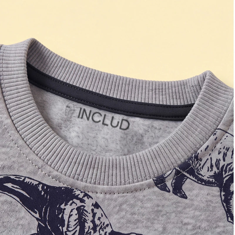 Boys Grey Dinosaur Print Round Neck Sweatshirt Sweatshirts & Hoodies