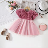 Girls Peach Floral Appliqued Fit & Flare Party Wear Dress