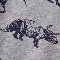 Boys Grey Dinosaur Print Round Neck Sweatshirt Sweatshirts & Hoodies
