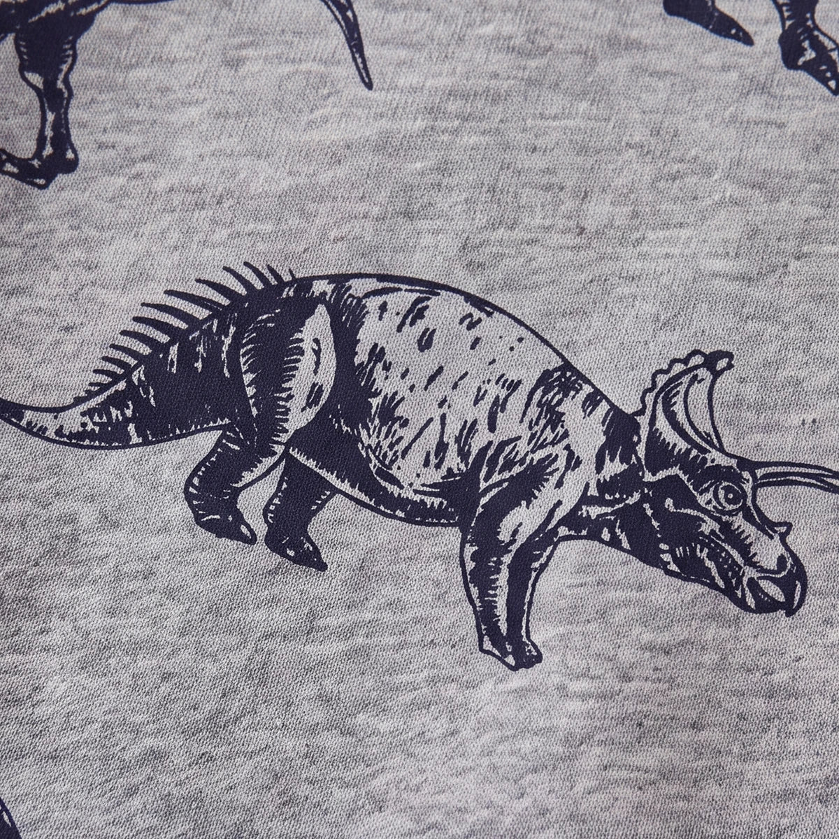 Boys Grey Dinosaur Print Round Neck Sweatshirt Sweatshirts & Hoodies