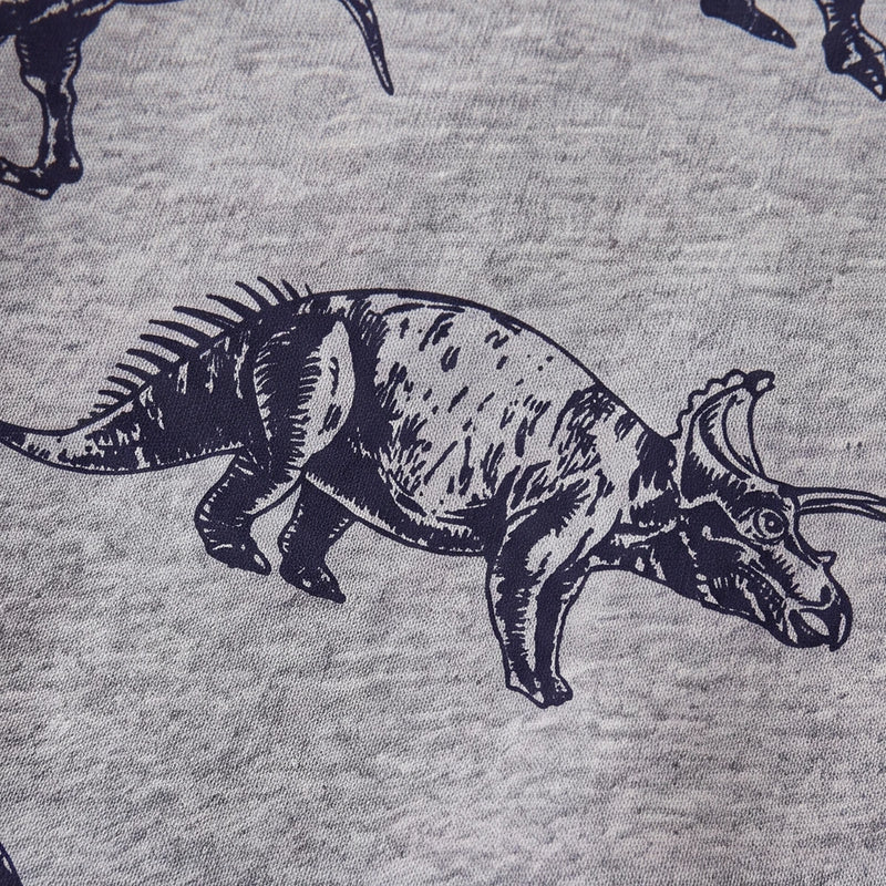 Boys Grey Dinosaur Print Round Neck Sweatshirt Sweatshirts & Hoodies