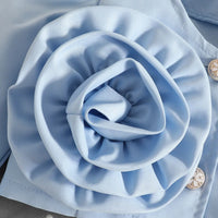 Girls Light Blue Large Flower Applique Long Sleeves Top With Skorts Set Sets