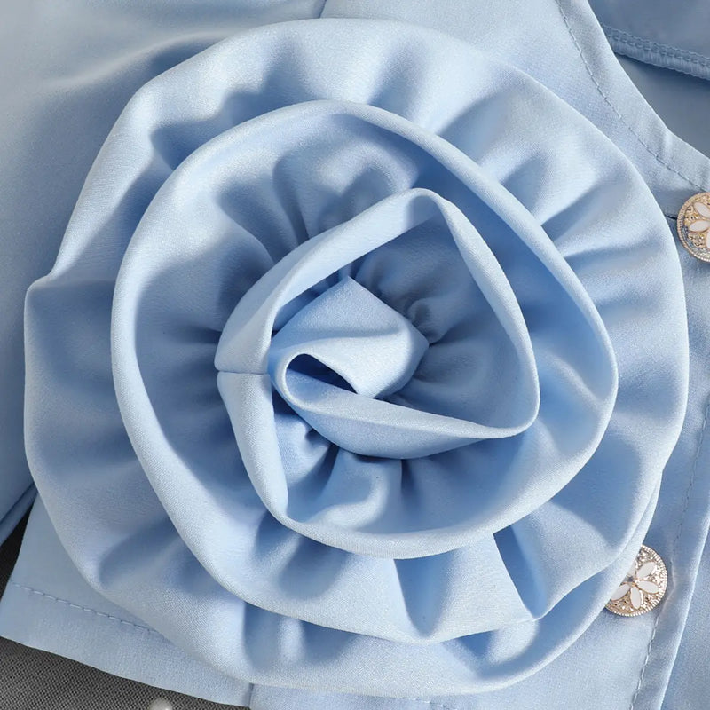 Girls Light Blue Large Flower Applique Long Sleeves Top With Skorts Set Sets