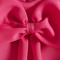 Girls Fuchsia Sleeveless Large Bow Applique A-line Party Wear Dress Party Dresses