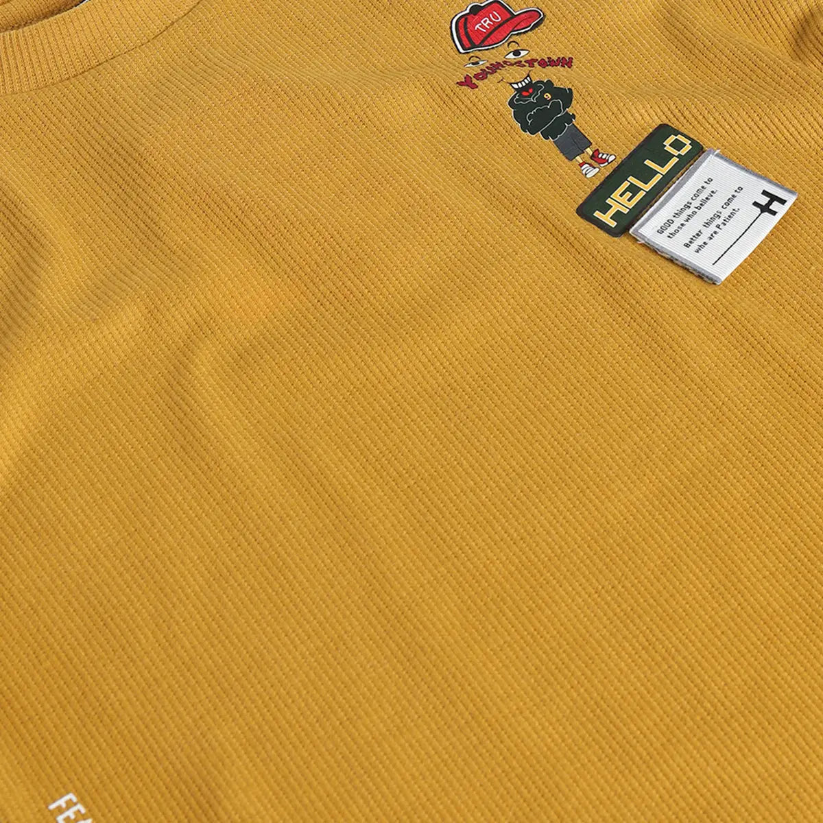Boys Mustard Printed Short Sleeve T-Shirt With Elasticated Shorts Sets 2 pc. Sets