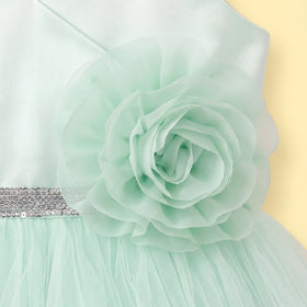 Girls Light Green Floral Applique Fit & Flare Party Dress Party Dresses