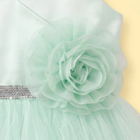 Girls Light Green Floral Applique Fit & Flare Party Dress Party Dresses