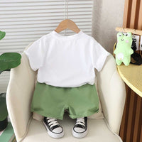 Boys Cartoon Graphic T-Shirt With Shorts Set 2 pc. Sets   