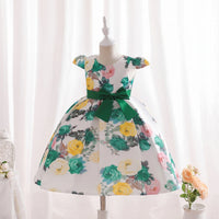 Girls Green Floral Printed Cap Sleeve Fit & Flare Party Wear Dress Party Dresses Green 2-3 Y