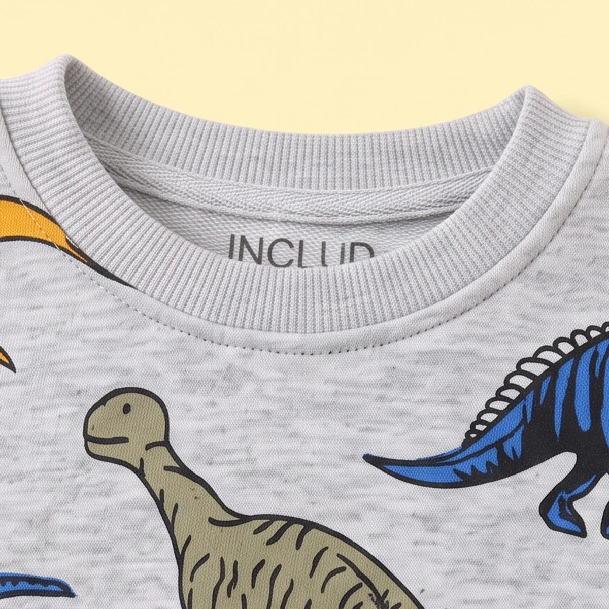 Boys Grey Dinosaur Print Round Neck Sweatshirt Sweatshirts & Hoodies