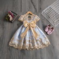 Girls Blue Floral Embroidered Fit & Flare Party Wear Dress Party Dresses
