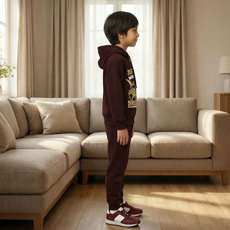 Boys Maroon Dinosaur Graphics Hoodies Sweatshirt With Joggers Sets 2 pc. Sets