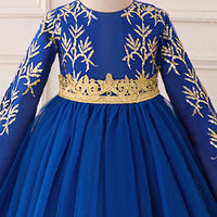 Girls Royal Blue Embroidered Gown With Long Sleeves Casual Dresses