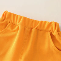 Boys Mustard Lion Graphic Raglan Sleeves T-Shirt With Elasticated Shorts Sets 2 pc. Sets