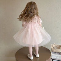Girls Pink Swan Applique Tulle Overlay A-Line Dress Casual Dresses