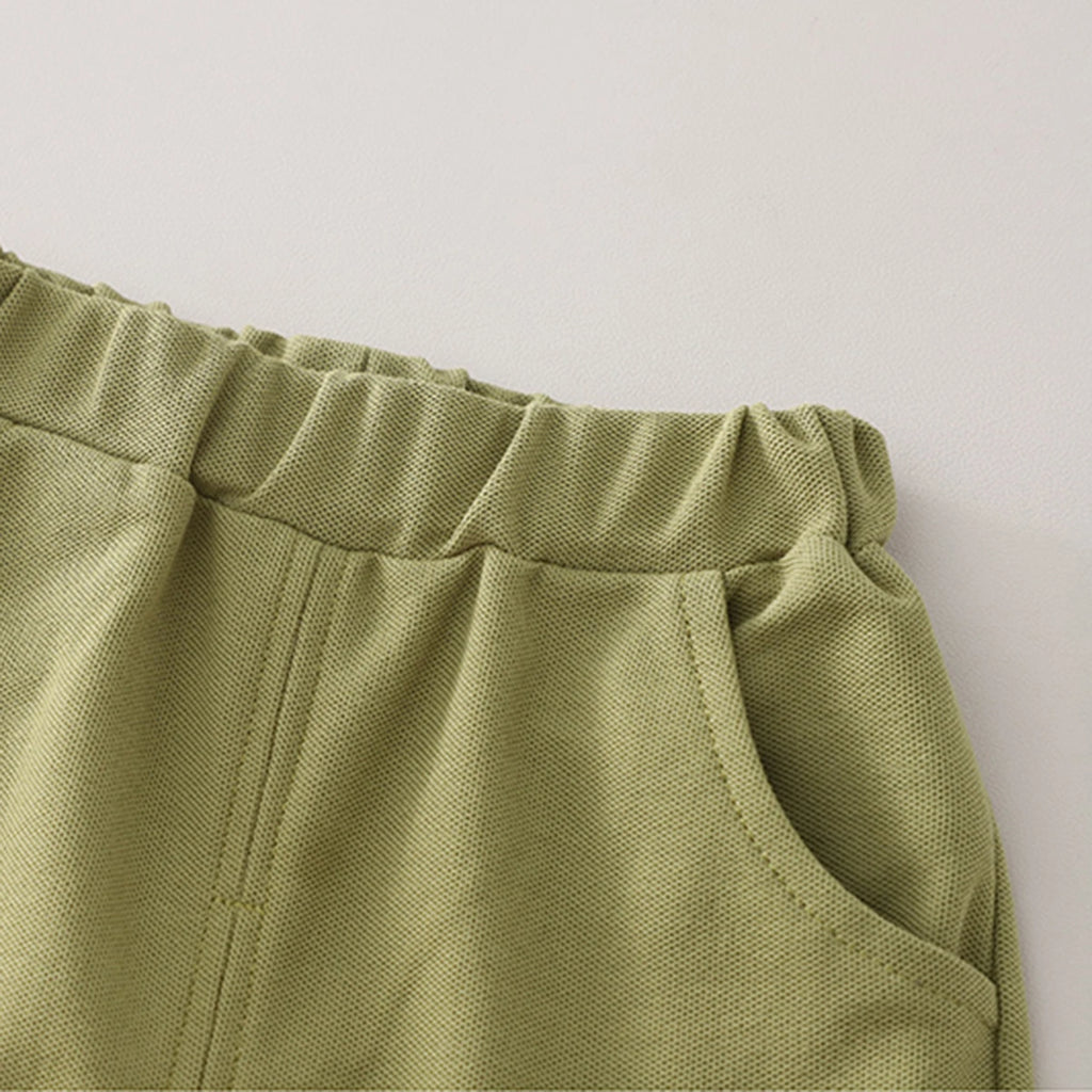 Boys Brown Dinosaur Applique Polo T-Shirt With Shorts Set Sets