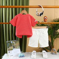 Boys Coral Music Printed Short Sleeve T-Shirt With Drawstring Shorts Sets Sets
