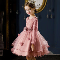 Girls Embroidered Knee Length Tutu Dress Party Dresses   