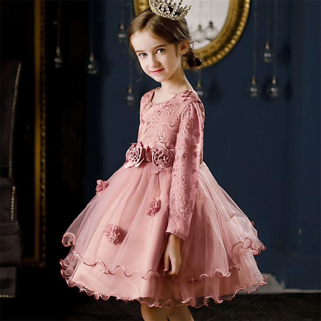 Girls Embroidered Knee Length Tutu Dress Party Dresses   