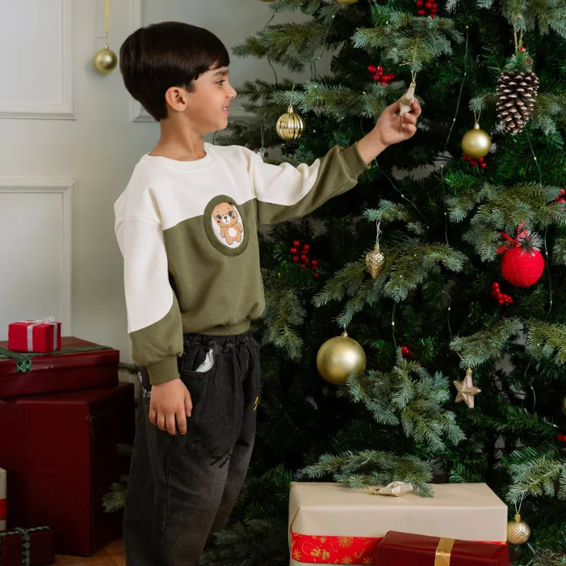Boys Green Graphics Printed Sweatshirt With Denim Pants Set Sets