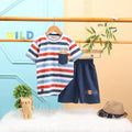 Boys Navy Blue Stripes And Lion Embroidered T-Shirt With Short Sets 2 pc. Sets Navy Blue 3-4 Y