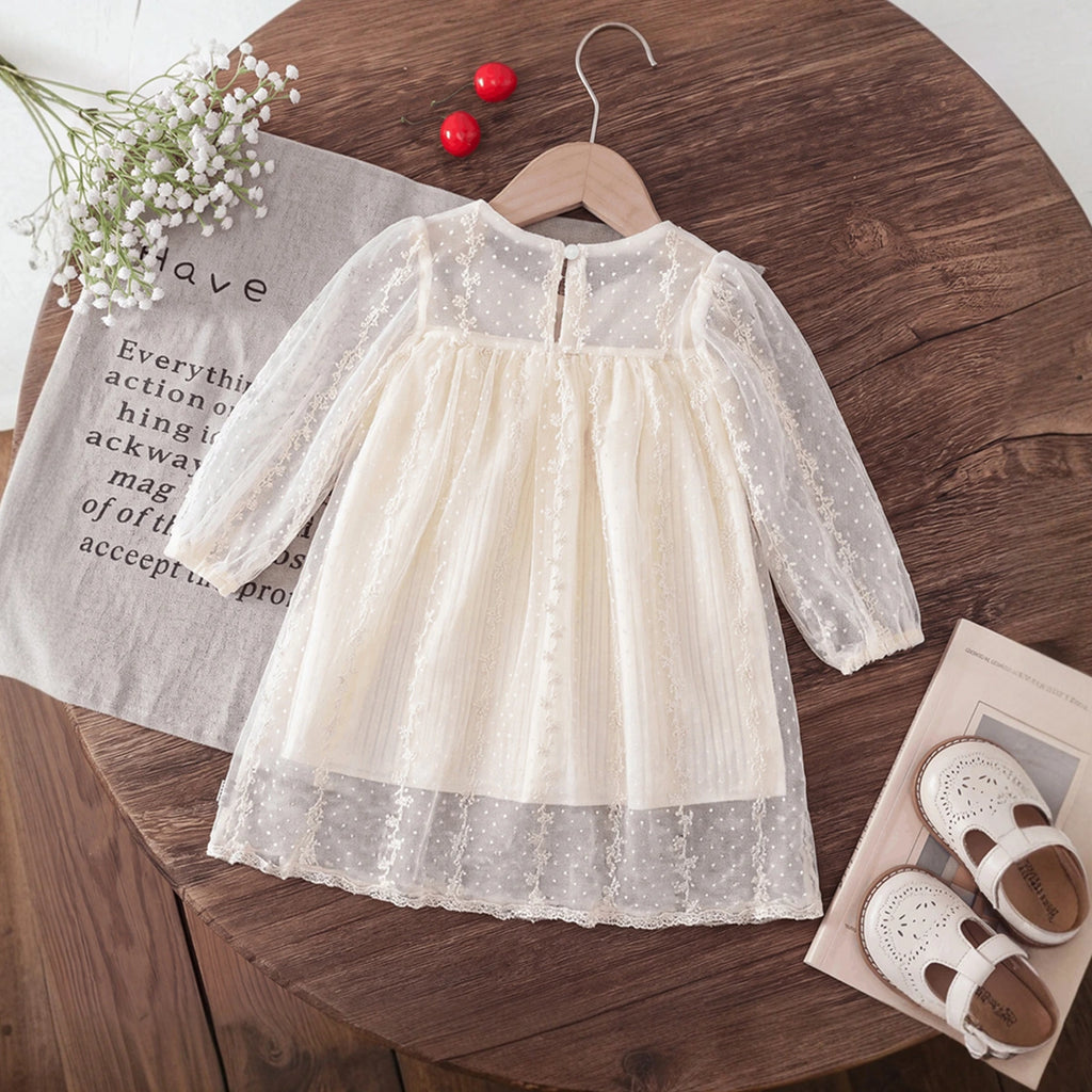 Girls Cream Embroidered Sheer Net Puff Sleeve A-Line Dress Casual Dresses