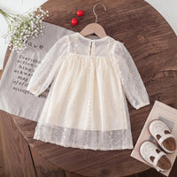 Girls Cream Embroidered Sheer Net Puff Sleeve A-Line Dress Casual Dresses