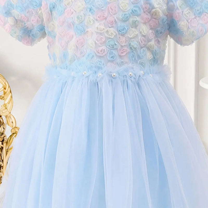 Girls Sky Blue Floral Tulle Overlay Fit & Flare Dress With Puff Sleeves Casual Dresses