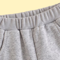 Boys Light Grey Embroidered Sweatshirt & Joggers Sets 2 pc. Sets