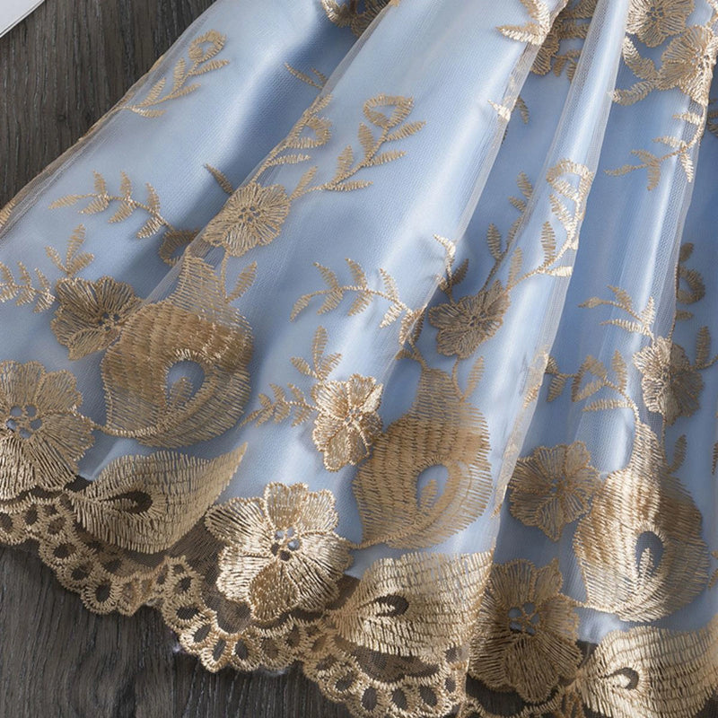 Girls Blue Floral Embroidered Fit & Flare Party Wear Dress Party Dresses