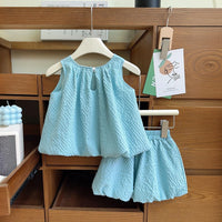Girls Light Blue Textured Sleeveless Top With Shorts Sets 2 pc. Sets