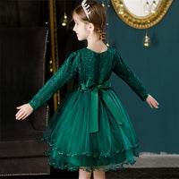 Girls Embroidered Knee Length Tutu Dress Party Dresses   