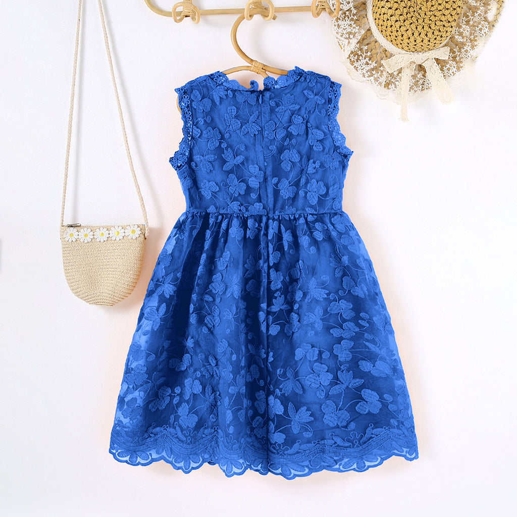 Girls Blue Sleeveless Floral Embroidered Lace Border Scalloped Dress Casual Dresses Blue 3-4 Y