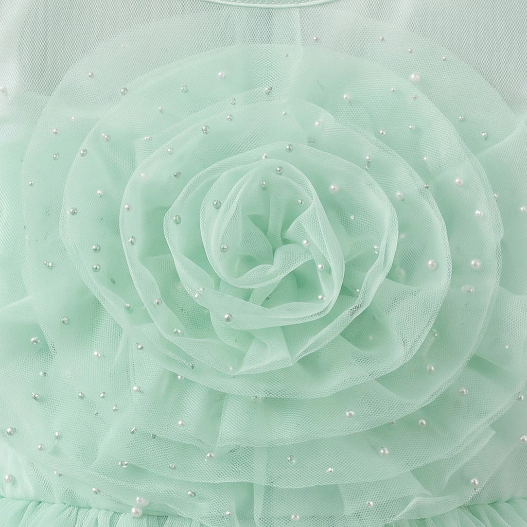 Girls Light Green Floral Applique Fit & Flare Party Dress Party Dresses