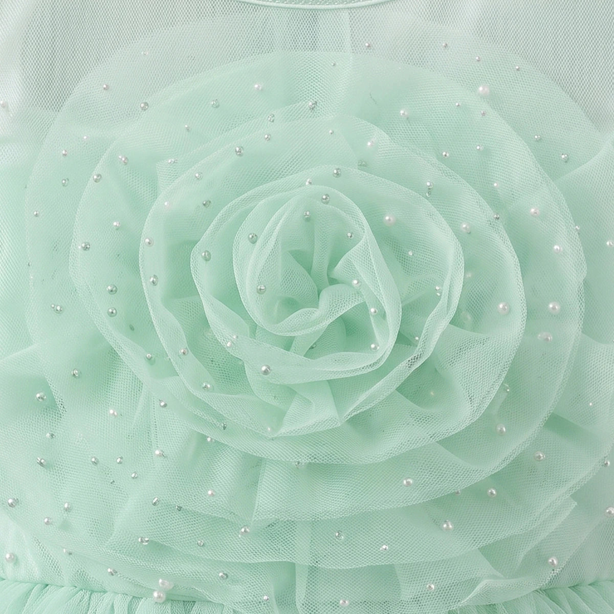 Girls Light Green Floral Applique Fit & Flare Party Dress Party Dresses
