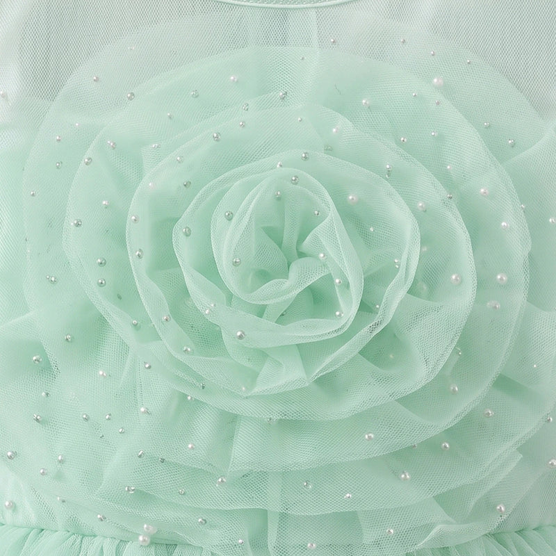 Girls Light Green Floral Applique Fit & Flare Party Dress Party Dresses