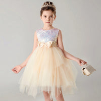Girls Champagne Sequin Embellished Tutu Party Wear Dress Party Dresses Champagne 2-3 Y