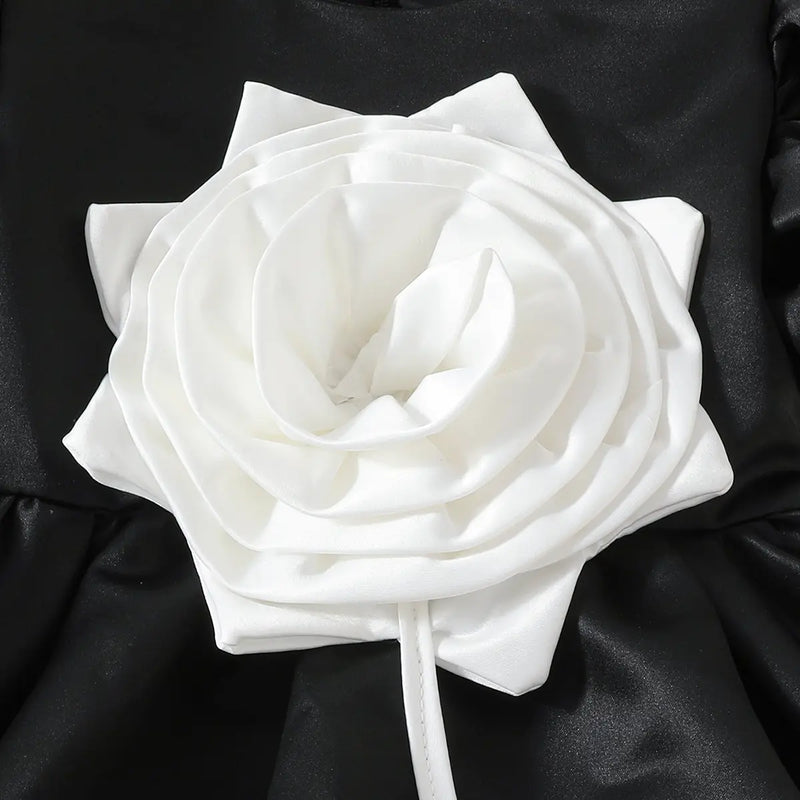 Girls Black 3D Flower Applique Fit & Flare Party Wear Dress Party Dresses