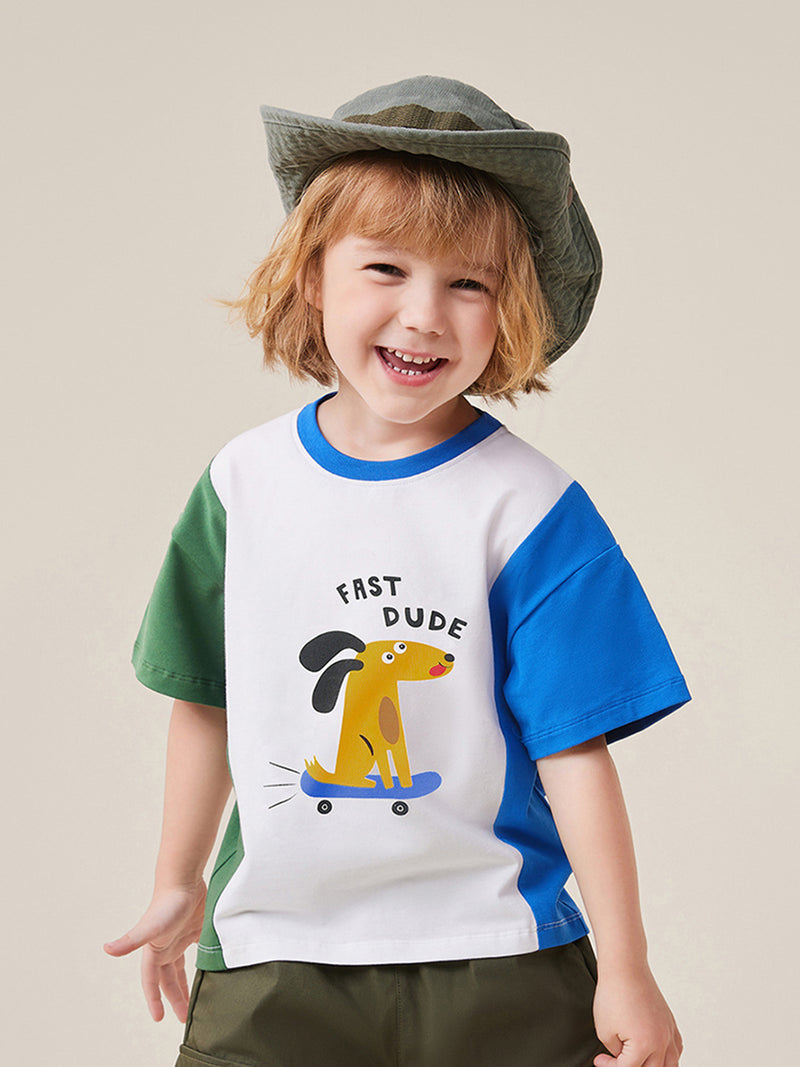 Boys Drop Shoulder Printed Casual T-shirt Tshirts   