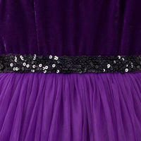 Girls Purple Sleeveless Floral Applique Fit & Flare Party Gown Party Dresses