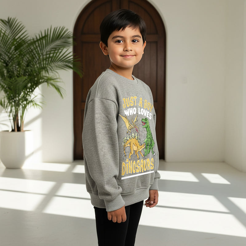 Boys Grey Dinosaur Graphics Round Neck Sweatshirt Sweatshirts & Hoodies