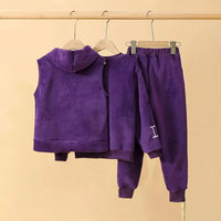 Girls Purple Alphanumeric Printed Sweatshirt With hooded Vest & jogger Co-ord Sets Sets