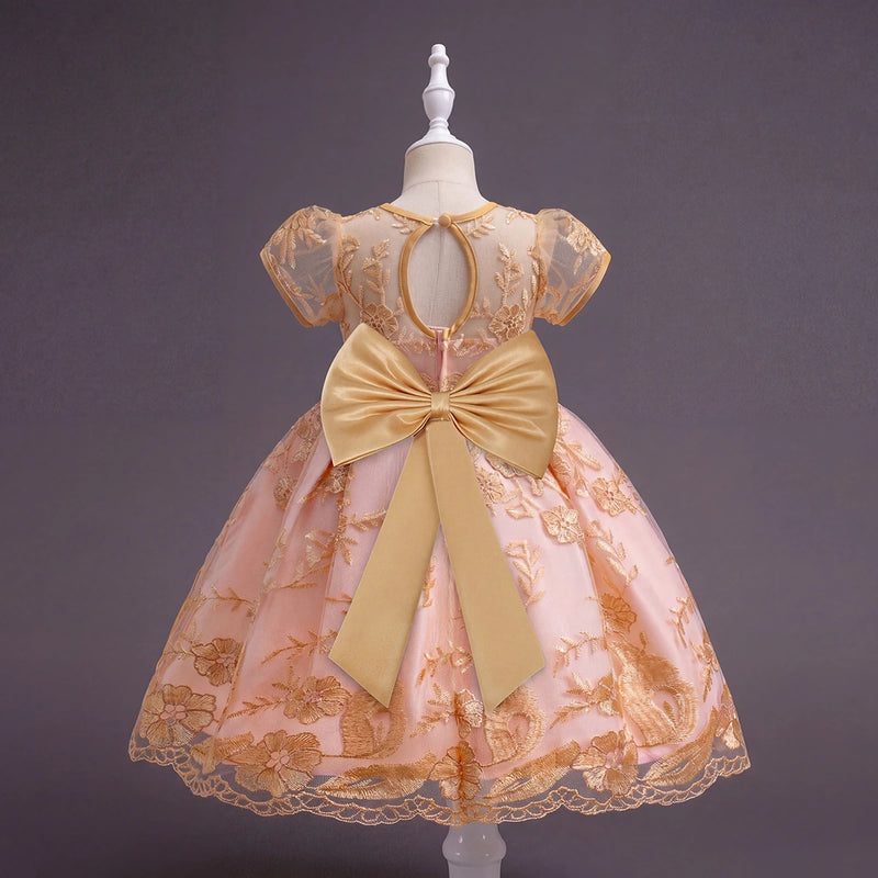 Girls Light Pink Floral Embroidered Fit & Flare Party wear Dress Party Dresses