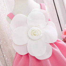 Girls Pink Floral Applique Fit & Flare Party Dresses Party Dresses