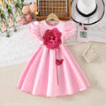 Girls Pink 3D Flower Applique Fit & Flare Party Wear Dress Party Dresses Pink 3-4 Y