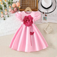 Girls Pink 3D Flower Applique Fit & Flare Party Wear Dress Party Dresses Pink 3-4 Y